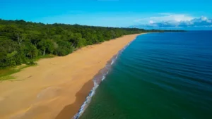 Playa Bluff, Panama: Nature's Paradise Unveiled!