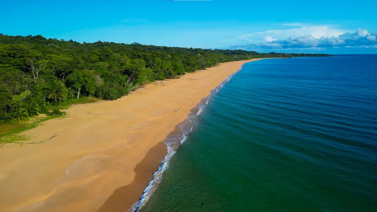 Playa Bluff, Panama: Nature's Paradise Unveiled!